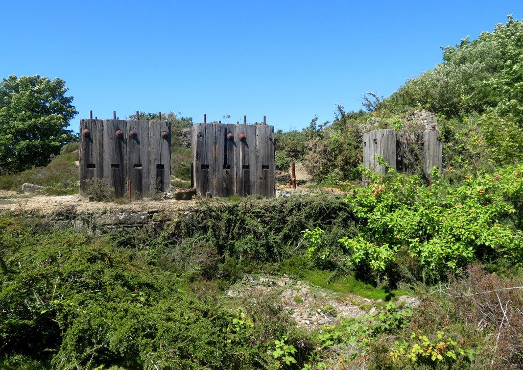 Wheal Busy stamps July 2020. Ann Rainford